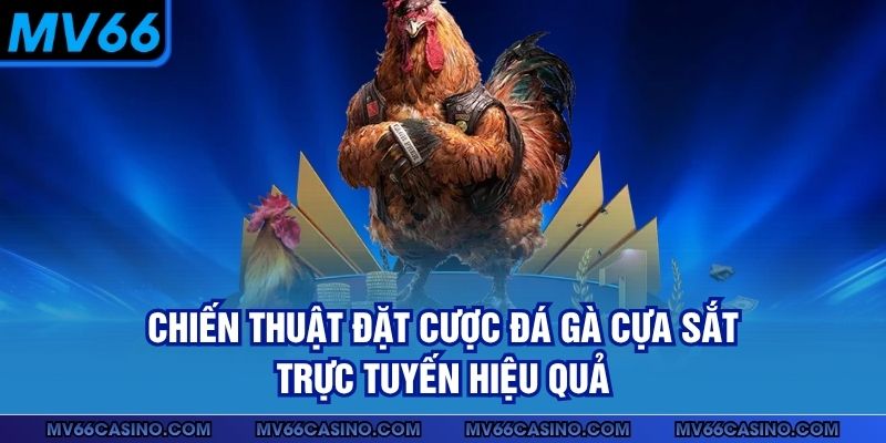 Chiến thuật đặt cược đá gà cựa sắt trực tuyến hiệu quả Chiến thuật đặt cược đá gà cựa sắt trực tuyến hiệu quả